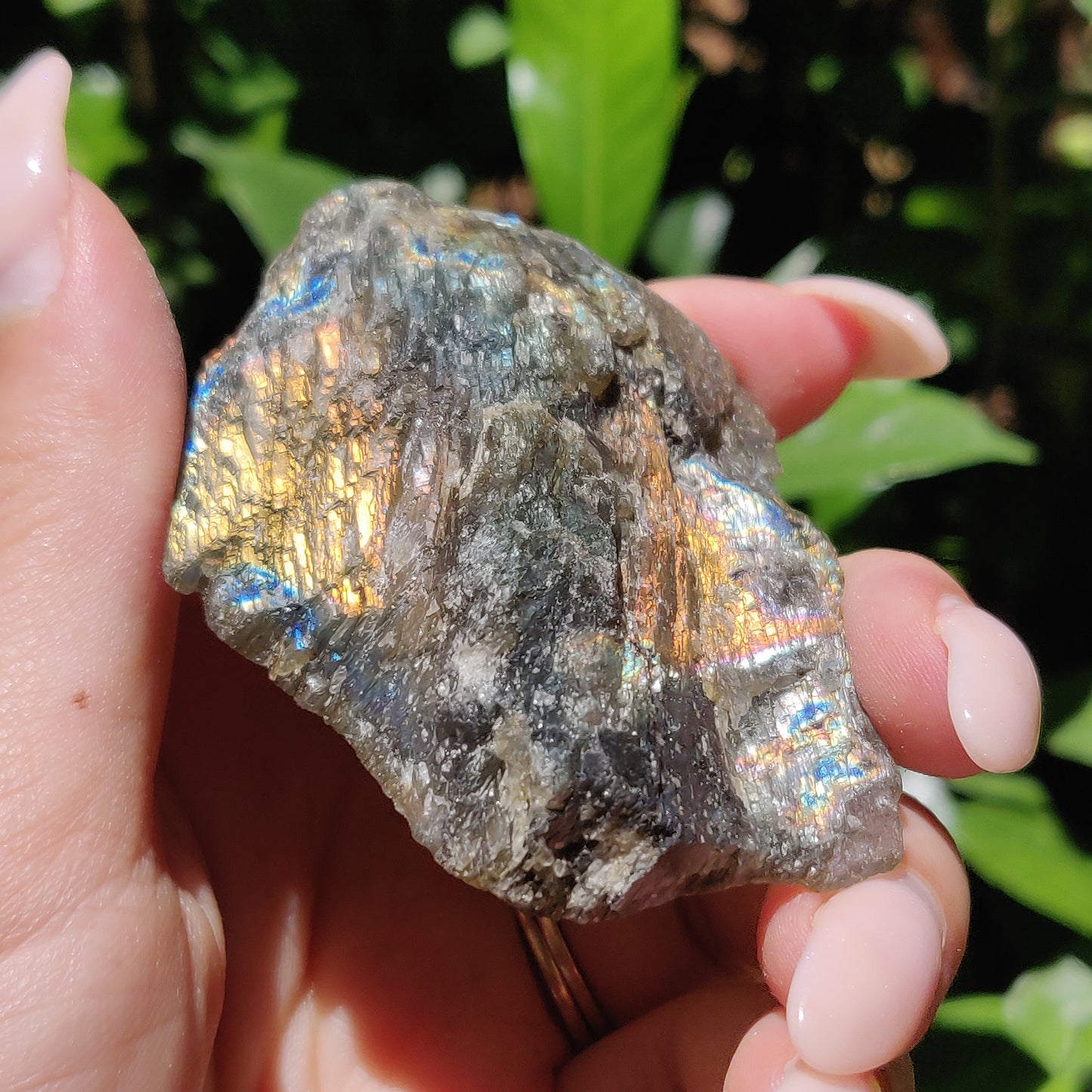 Labradorite Slab (#59) - Simply Affinity