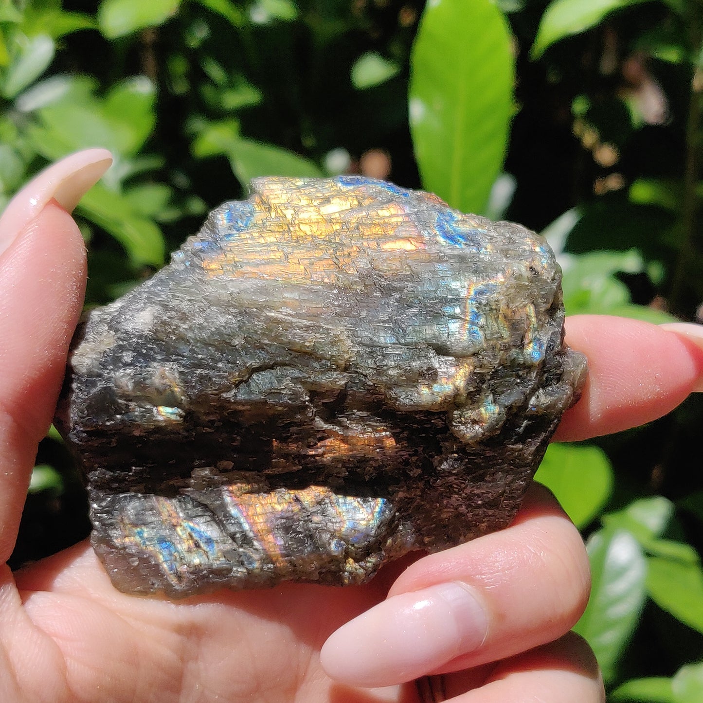 Labradorite Slab (#59) - Simply Affinity