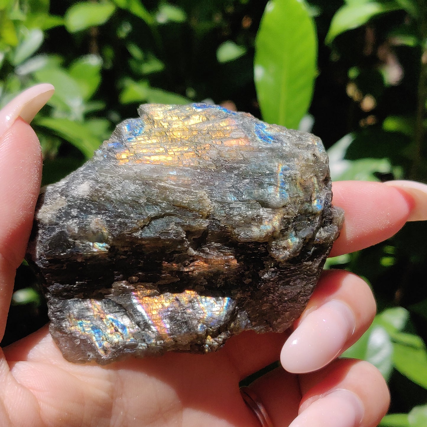 Labradorite Slab (#59) - Simply Affinity