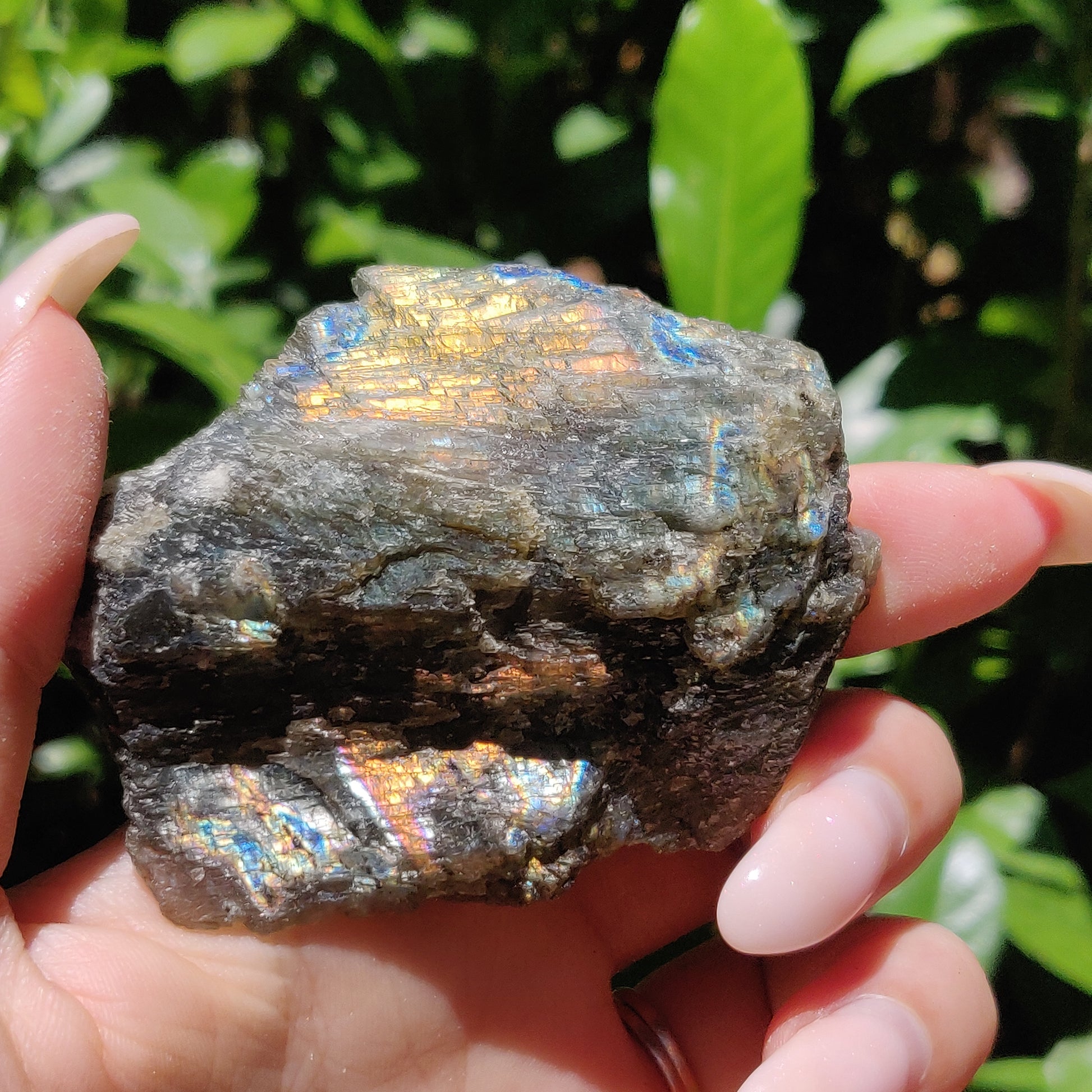Labradorite Slab (#59) - Simply Affinity