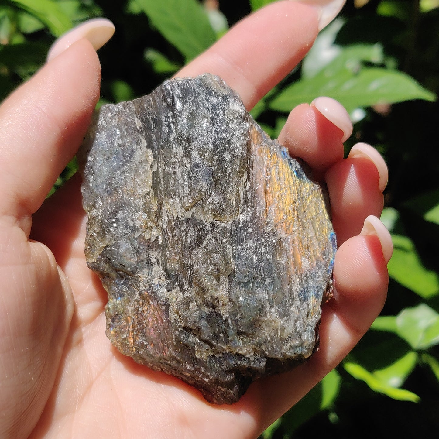 Labradorite Slab (#59) - Simply Affinity