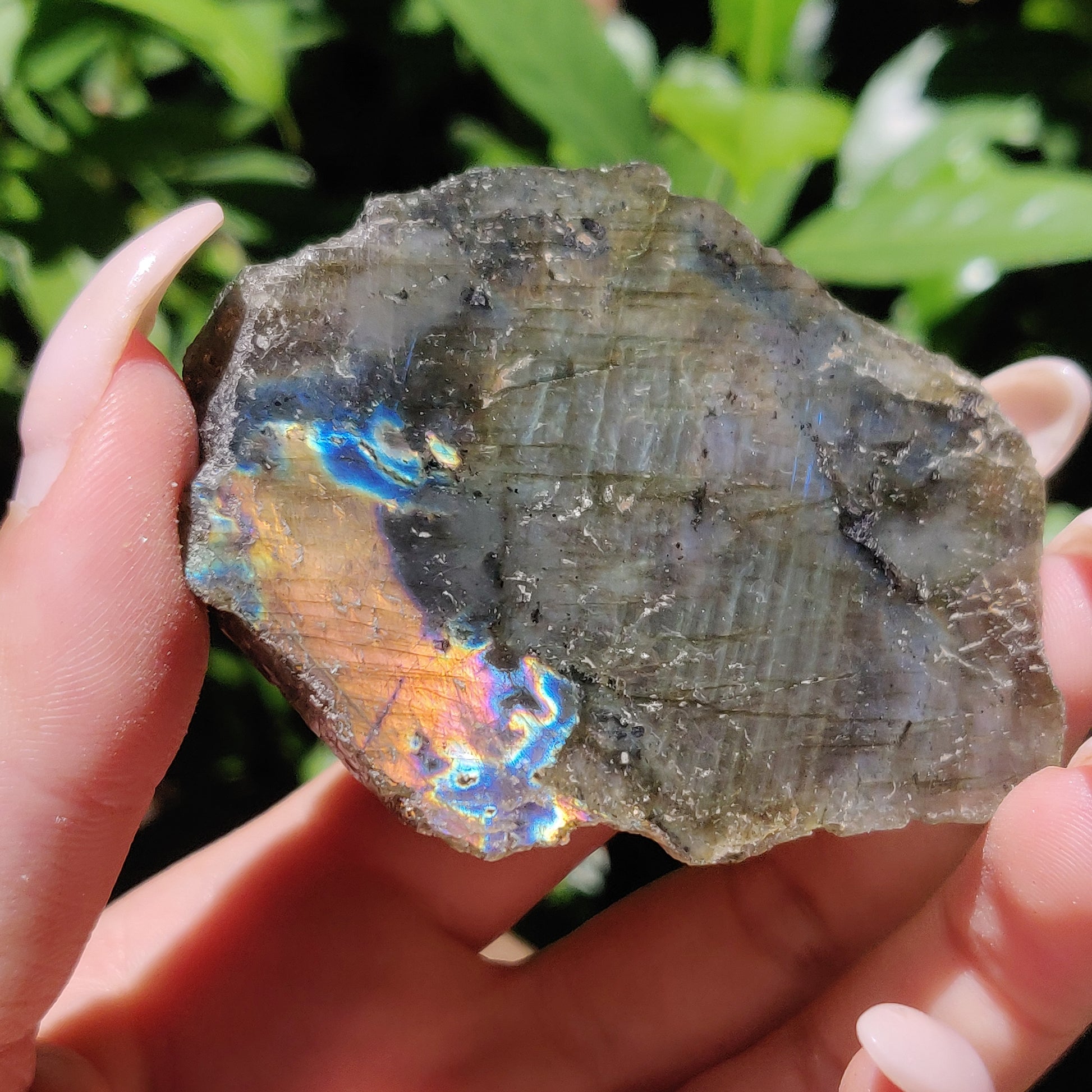 Labradorite Slab (#59) - Simply Affinity