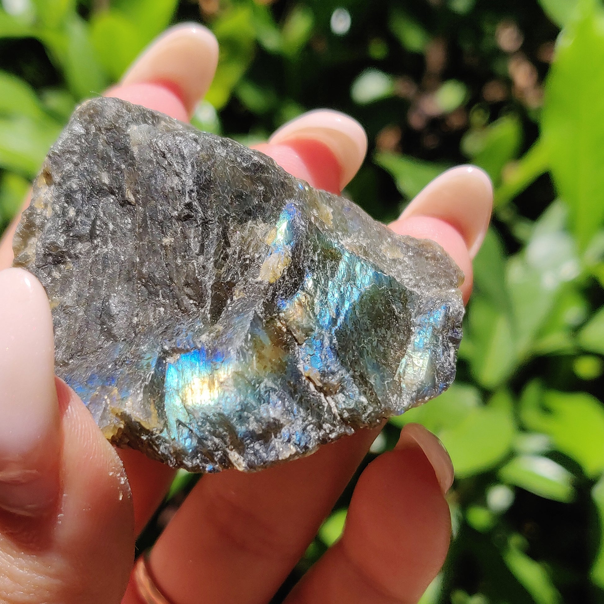 Labradorite Slab (#48) - Simply Affinity