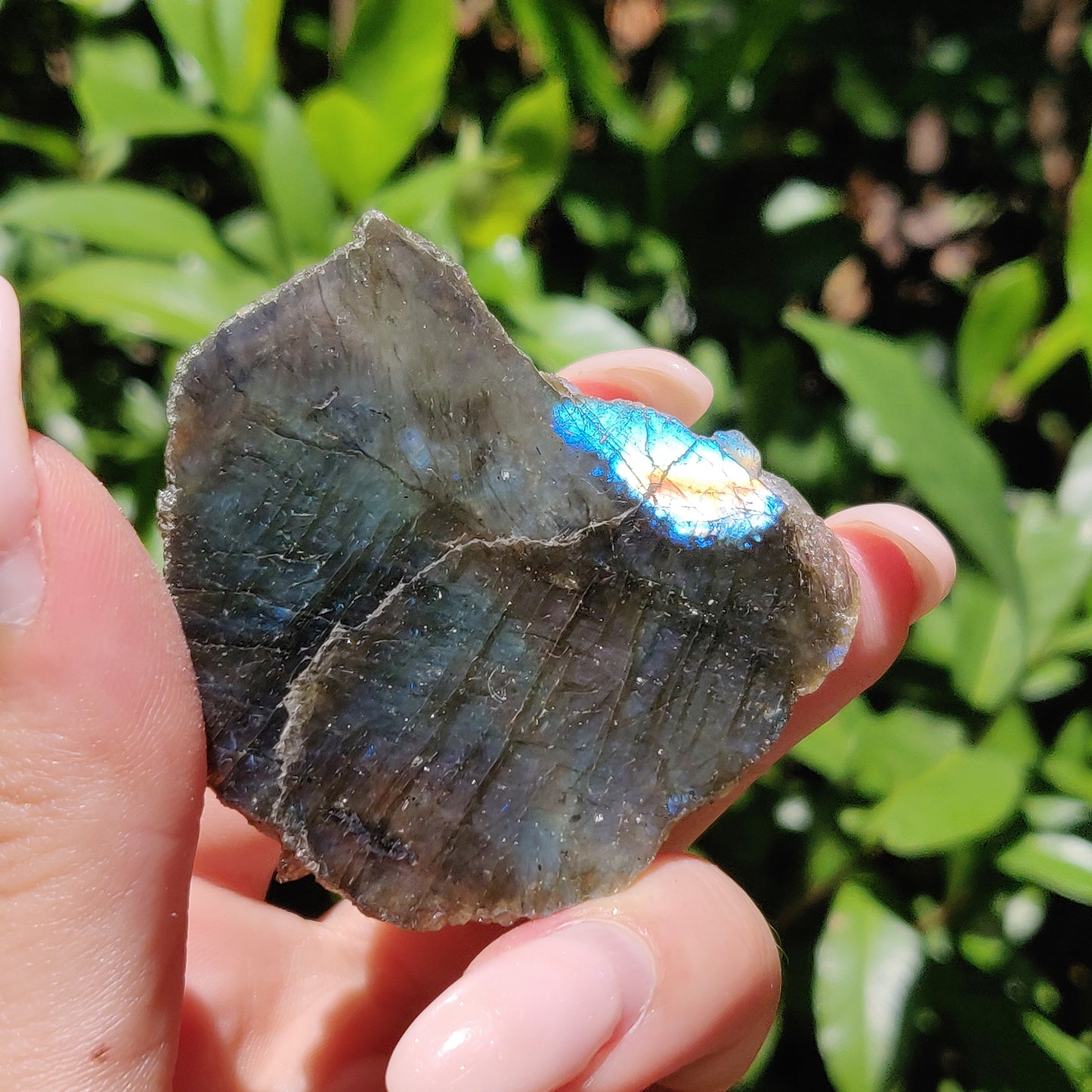 Labradorite Slab (#48) - Simply Affinity