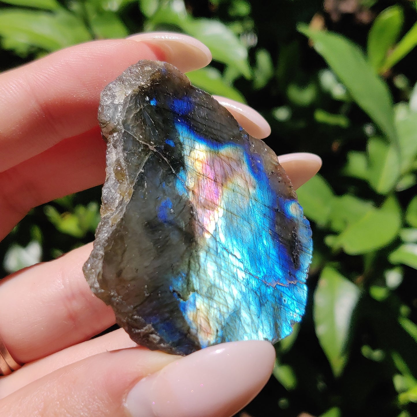 Labradorite Slab (#48) - Simply Affinity