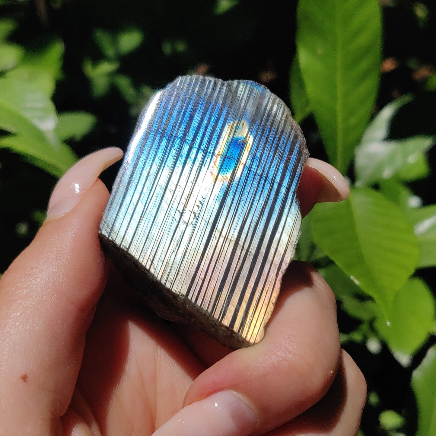 Labradorite Slab (#58) - Simply Affinity