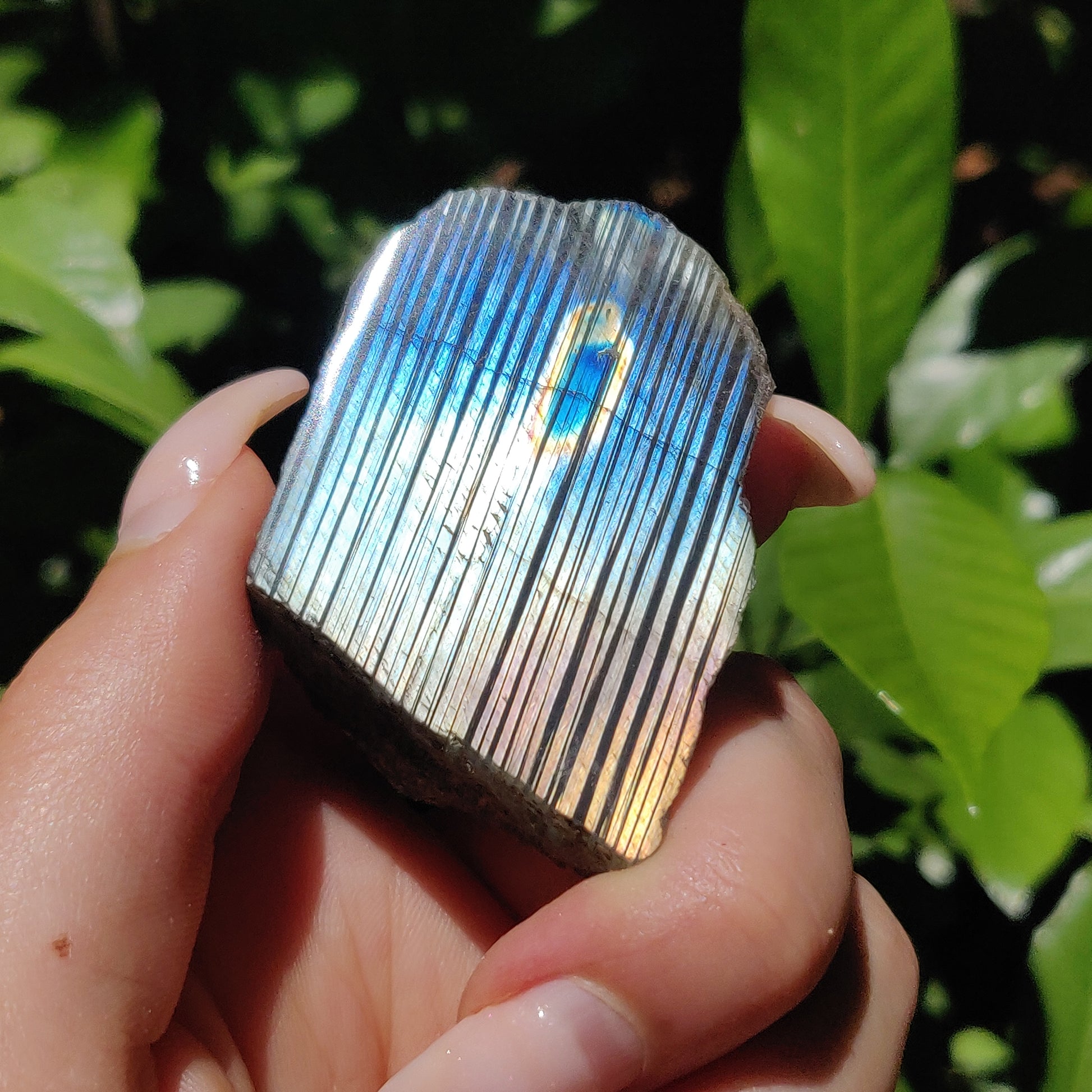 Labradorite Slab (#58) - Simply Affinity