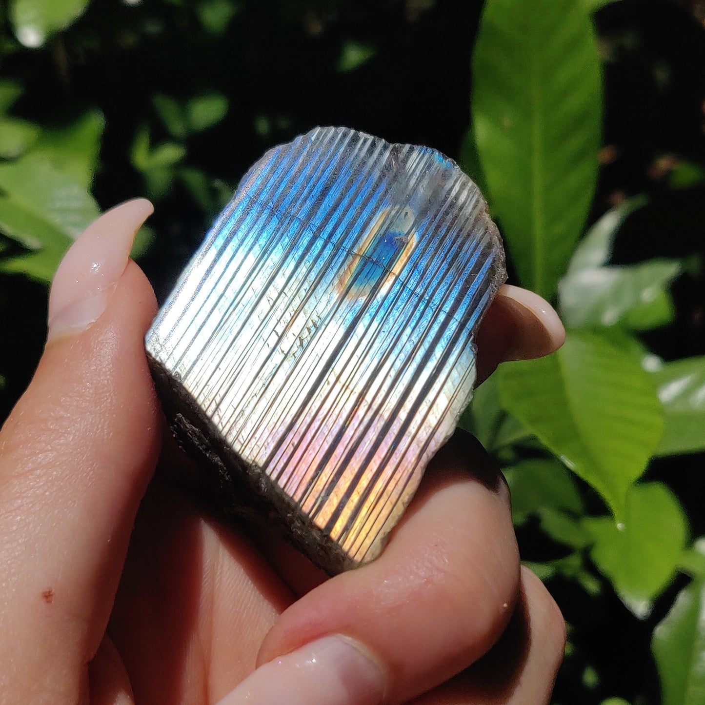 Labradorite Slab (#58) - Simply Affinity