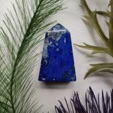 Lapis Lazuli Point (#3) - Simply Affinity