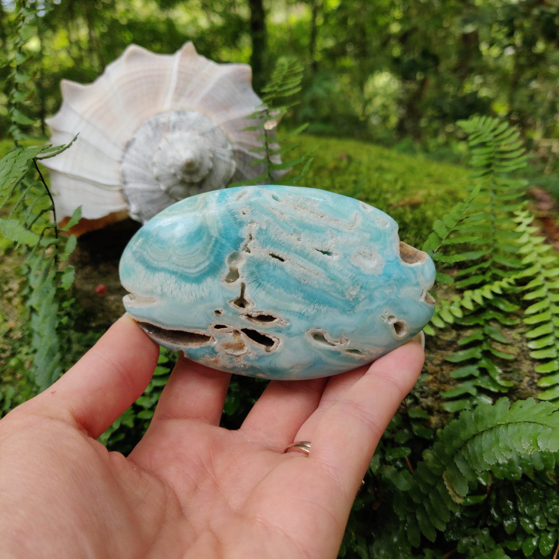 Blue Aragonite Palm Stone (#1) - Simply Affinity