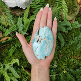 Blue Aragonite Palm Stone (#1) - Simply Affinity