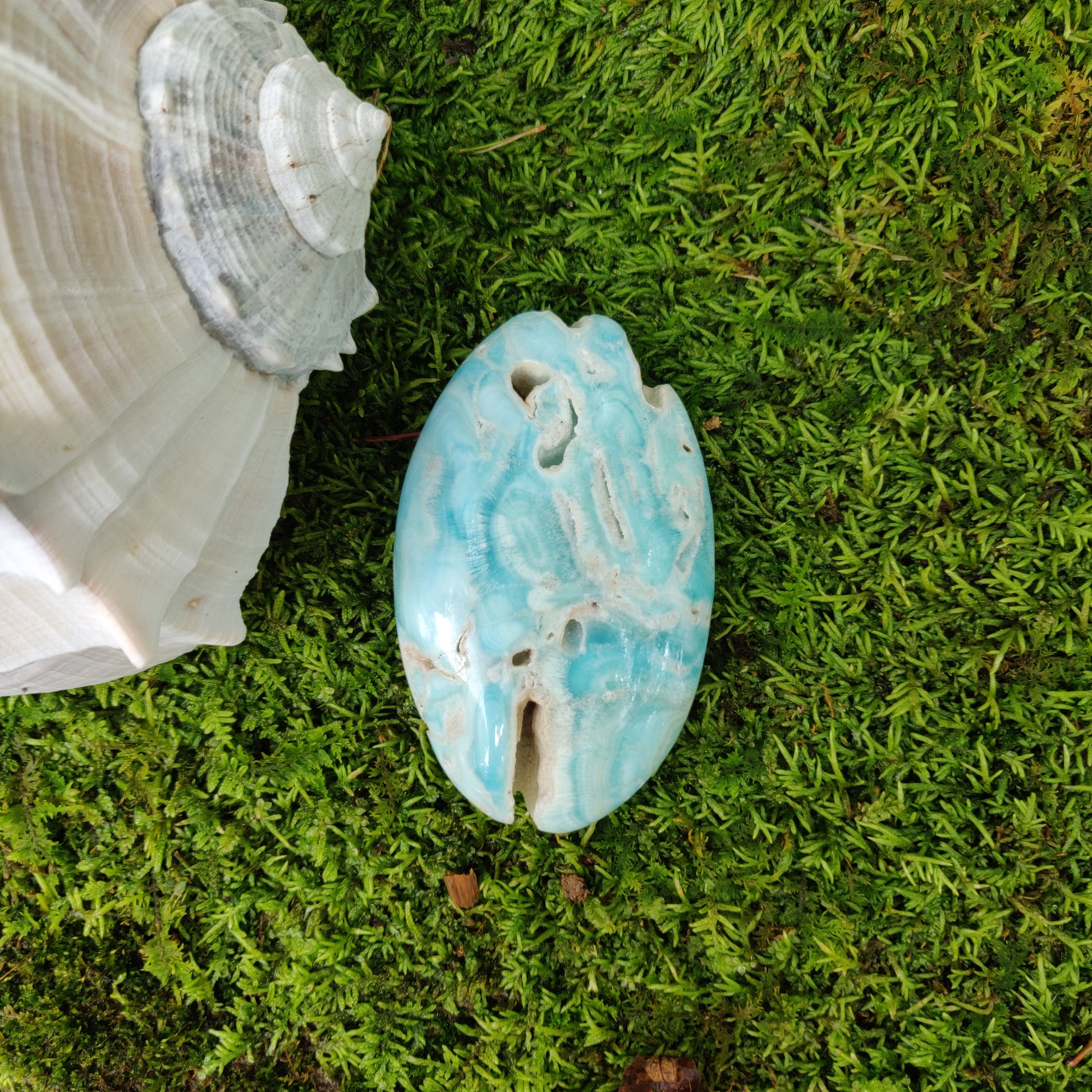 Blue Aragonite Palm Stone (#1) - Simply Affinity