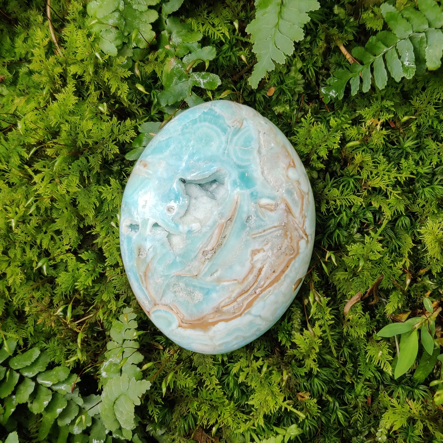 Blue Aragonite Palm Stone (#4) - Simply Affinity
