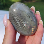 Labradorite Palm Stone (#241) - Simply Affinity
