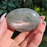 Labradorite Palm Stone (#241) - Simply Affinity