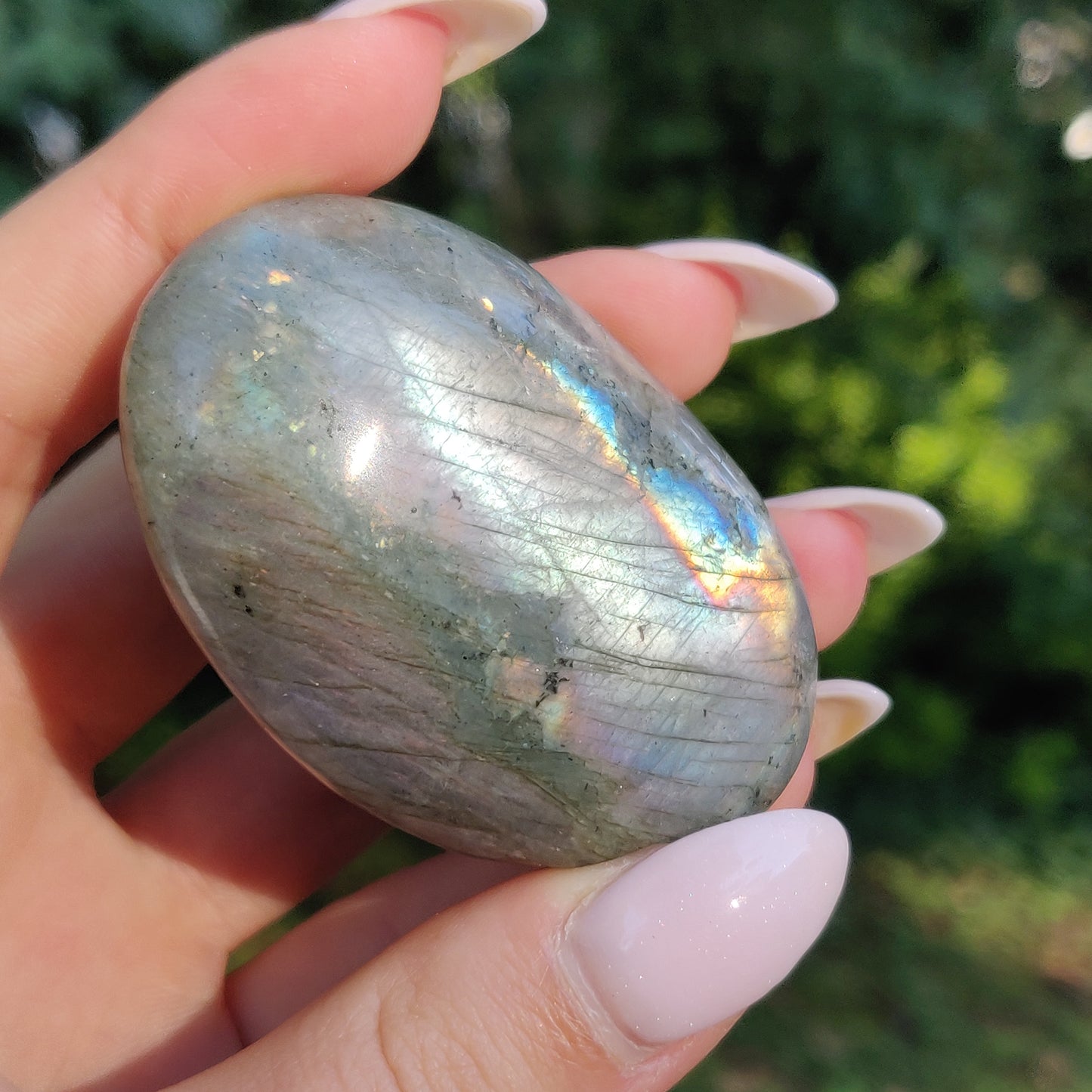 Labradorite Palm Stone (#241) - Simply Affinity