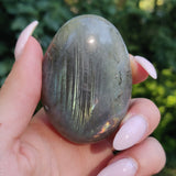 Labradorite Palm Stone (#241) - Simply Affinity