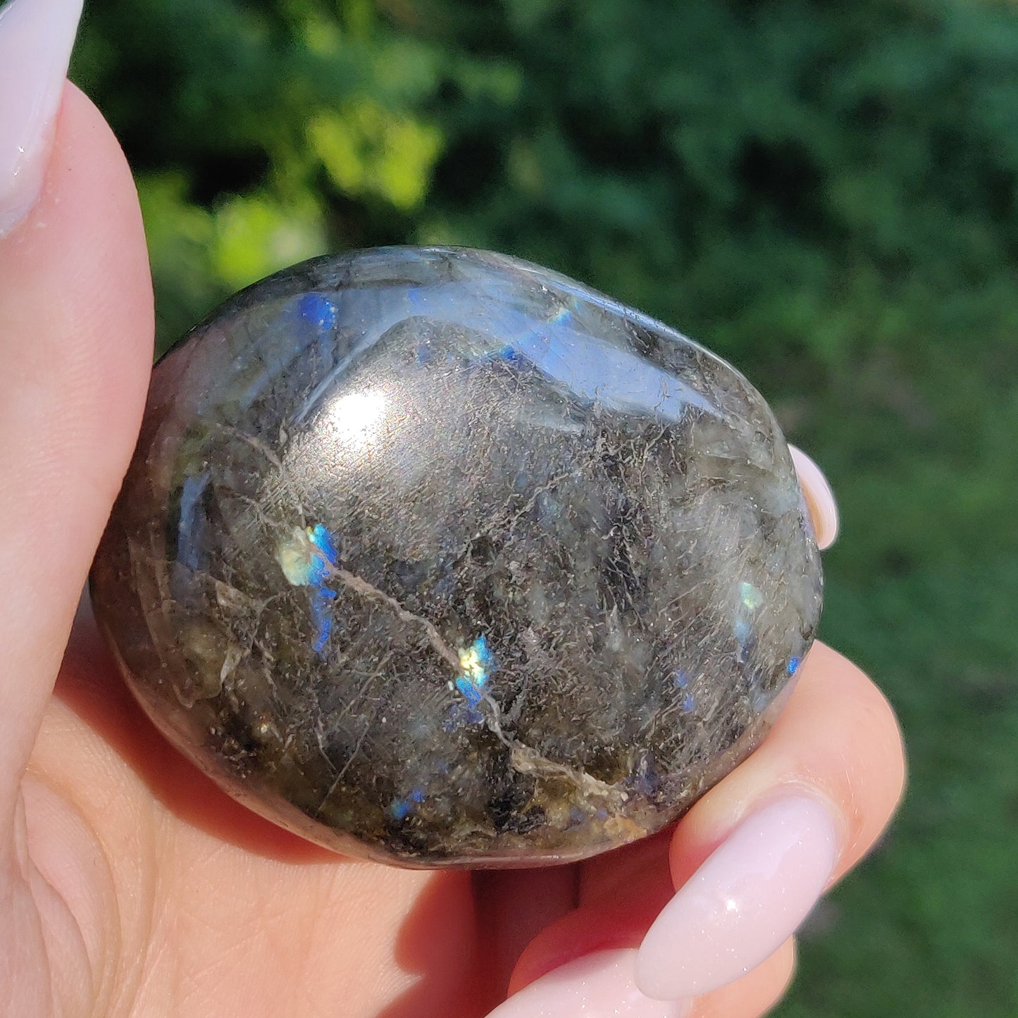 Labradorite Palm Stone (#246) - Simply Affinity