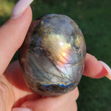 Labradorite Palm Stone (#246) - Simply Affinity