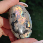 Labradorite Palm Stone (#250) - Simply Affinity