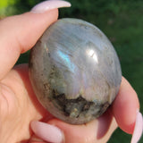Labradorite Palm Stone (#251) - Simply Affinity