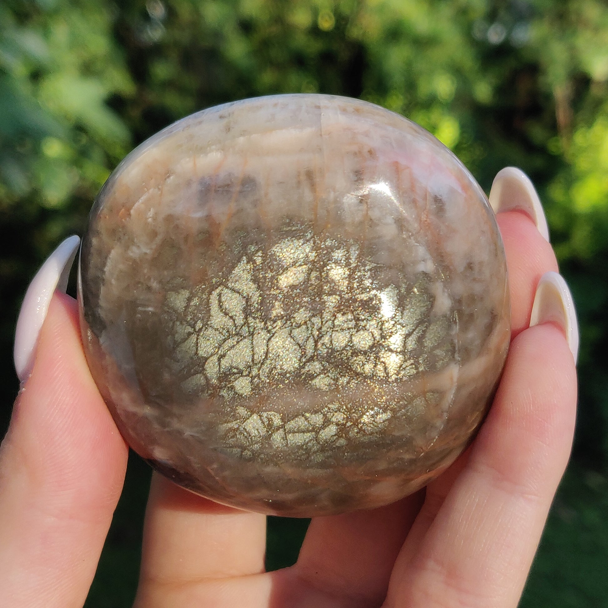 Black Moonstone Palm Stone, Flashy Black Moonstone (#11) - Simply Affinity