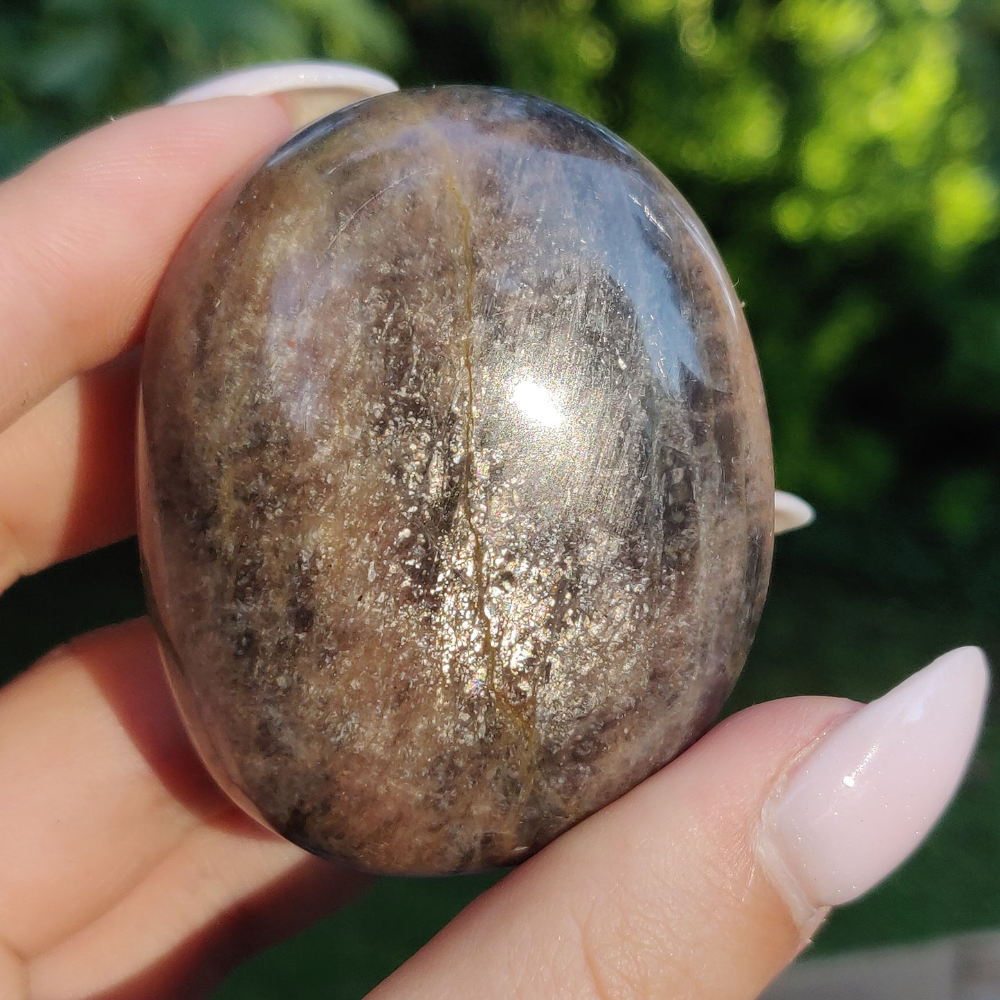 Black Moonstone Palm Stone, Flashy Black Moonstone (#12) - Simply Affinity