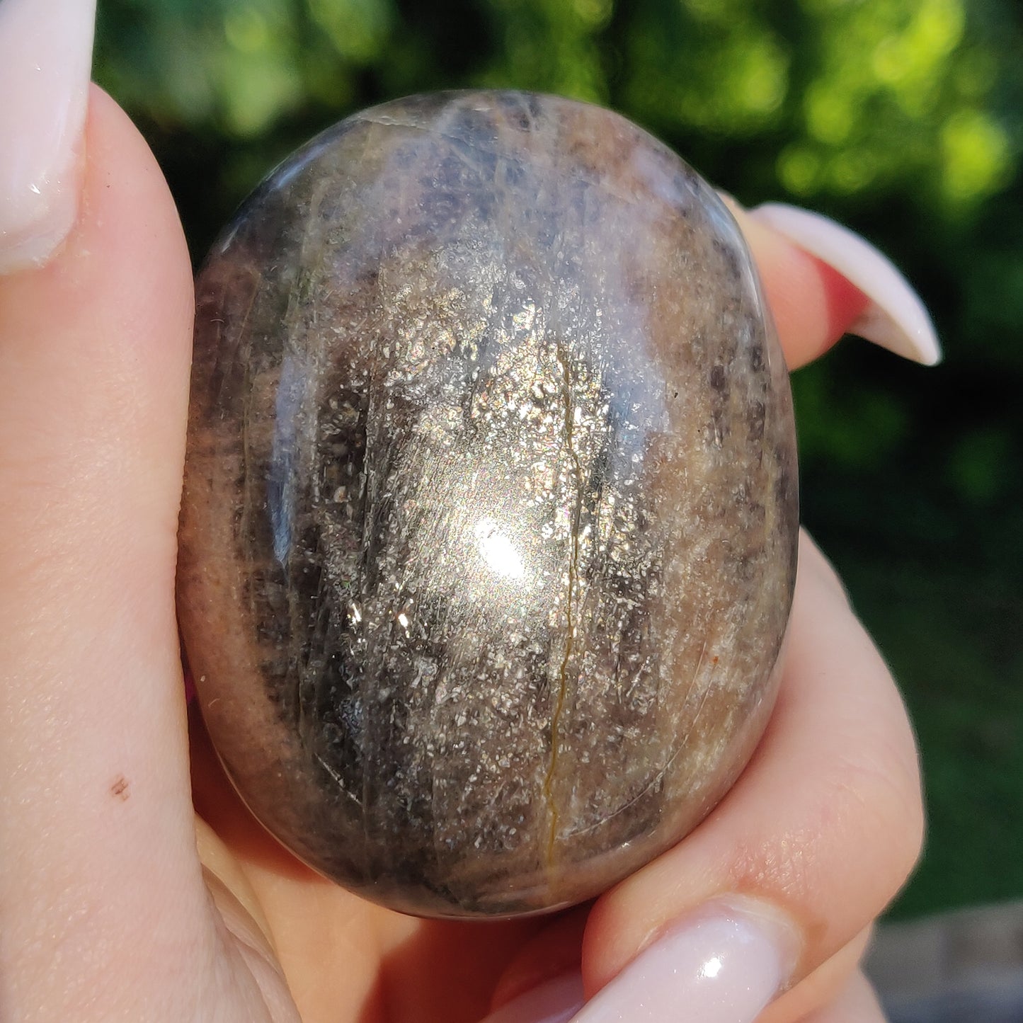 Black Moonstone Palm Stone, Flashy Black Moonstone (#12) - Simply Affinity