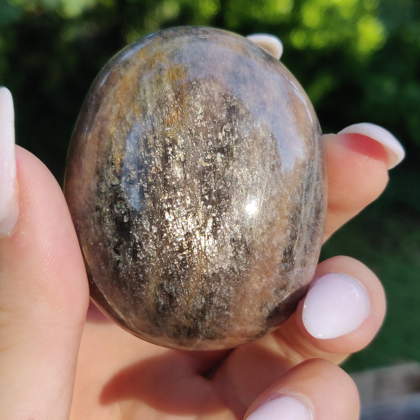 Black Moonstone Palm Stone, Flashy Black Moonstone (#12) - Simply Affinity