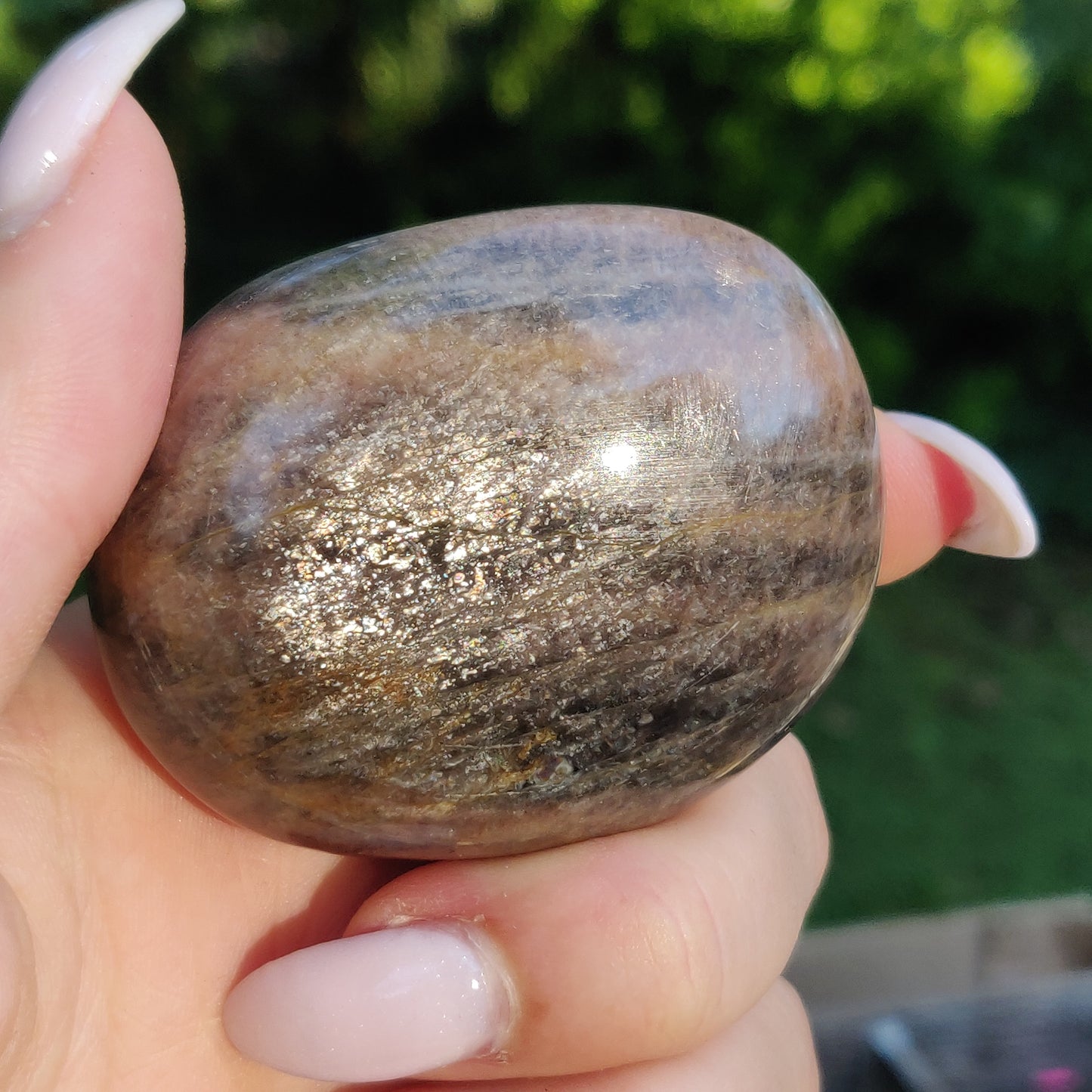Black Moonstone Palm Stone, Flashy Black Moonstone (#12) - Simply Affinity