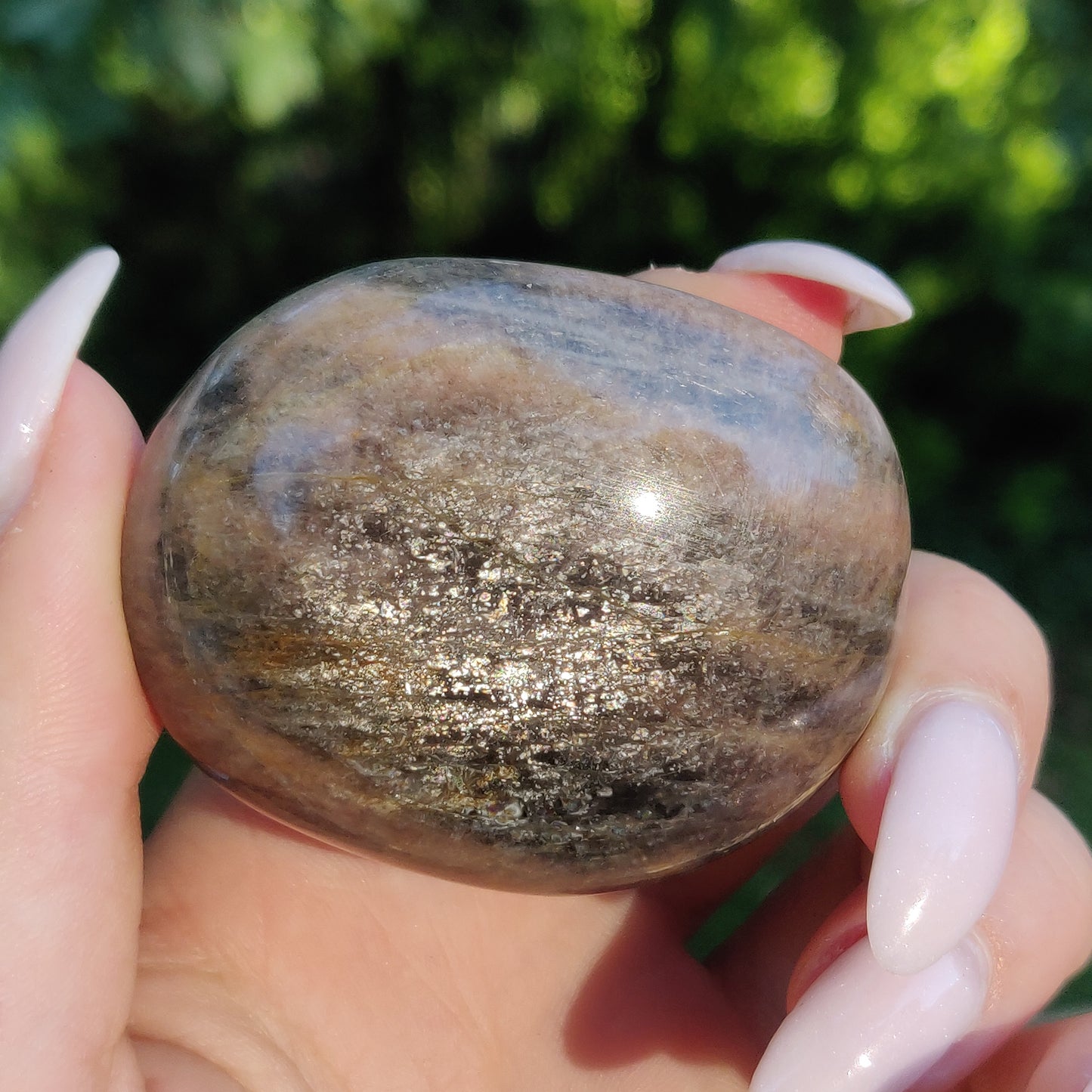 Black Moonstone Palm Stone, Flashy Black Moonstone (#12) - Simply Affinity