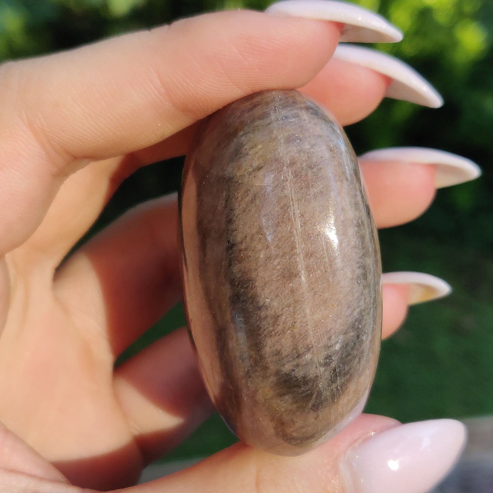 Black Moonstone Palm Stone, Flashy Black Moonstone (#12) - Simply Affinity