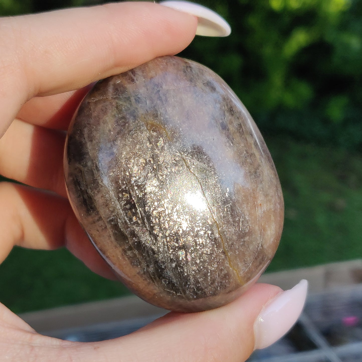 Black Moonstone Palm Stone, Flashy Black Moonstone (#12) - Simply Affinity