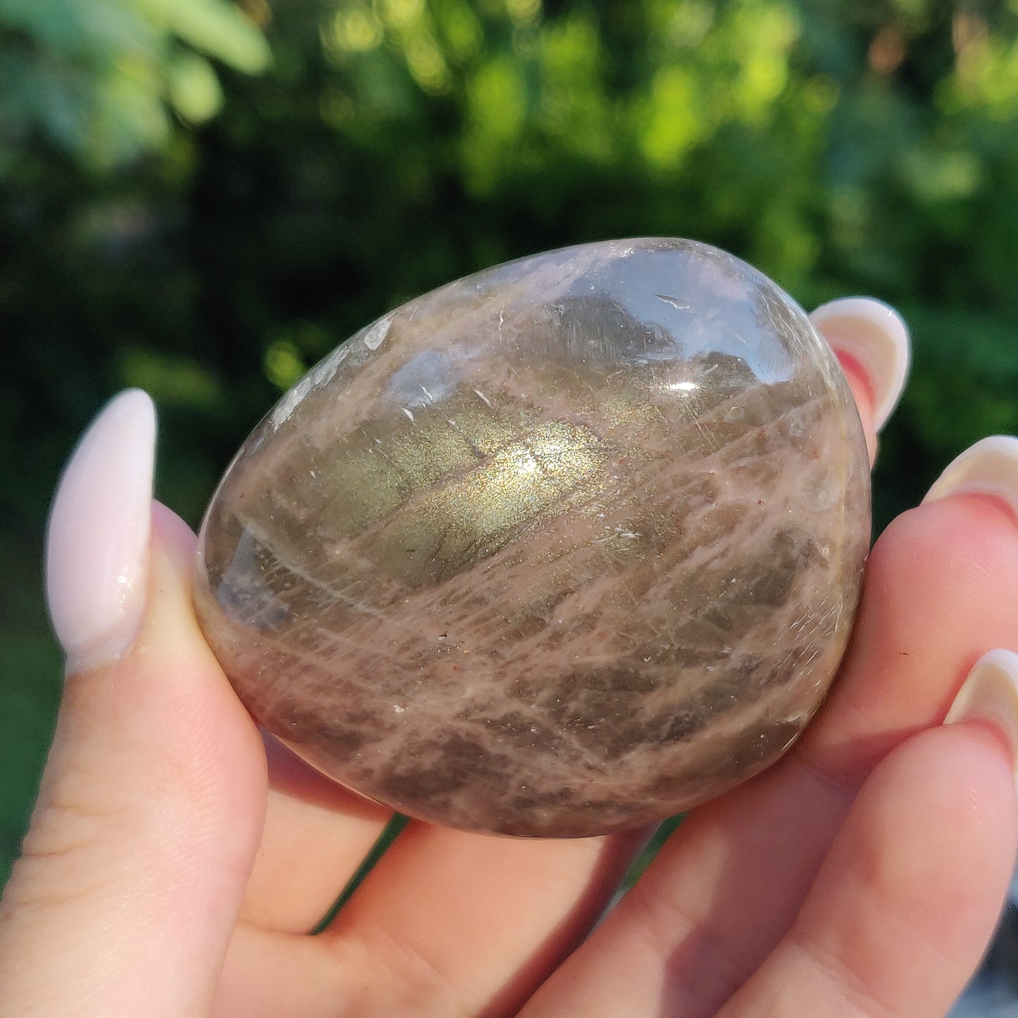 Black Moonstone Palm Stone, Flashy Black Moonstone (#14) - Simply Affinity