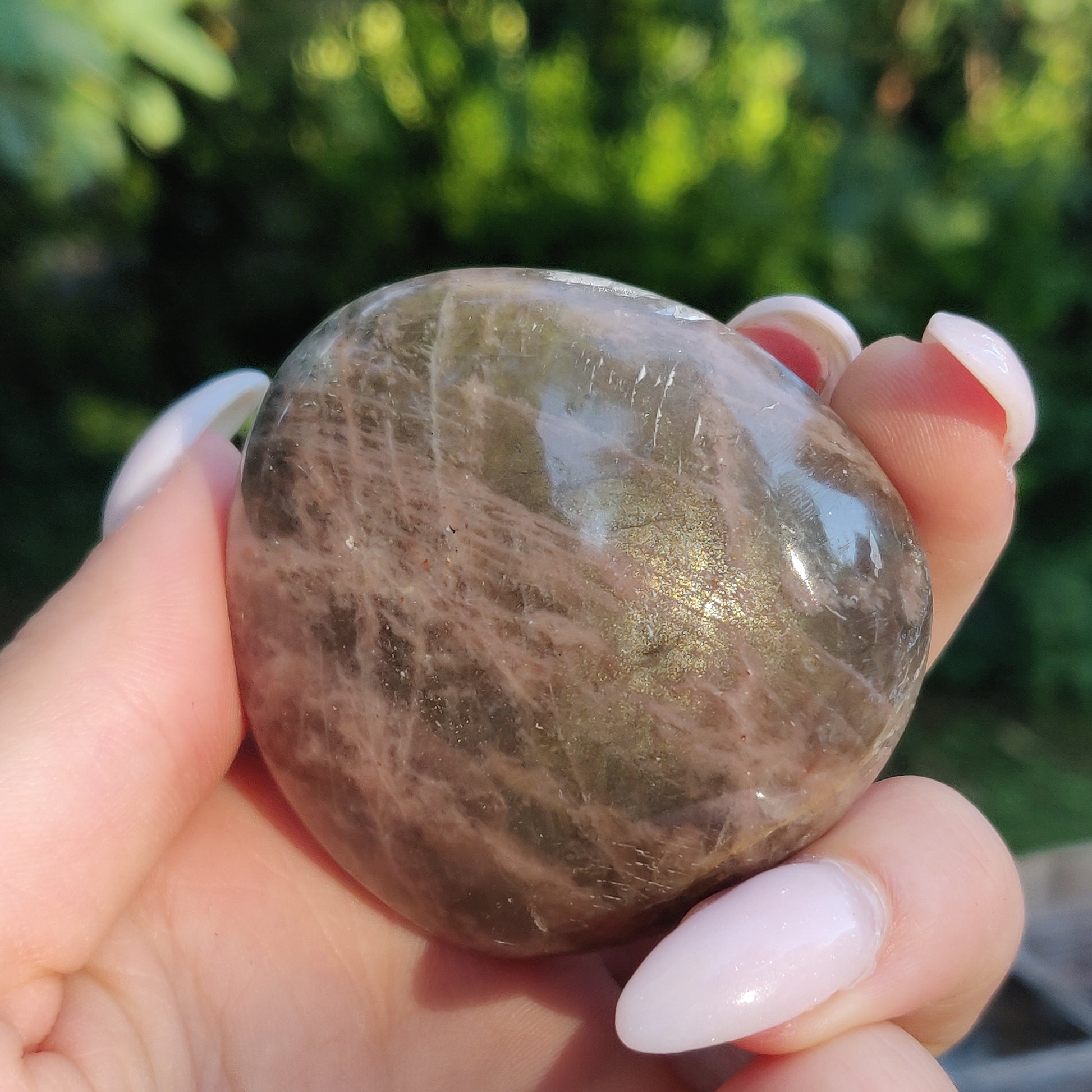 Black Moonstone Palm Stone, Flashy Black Moonstone (#14) - Simply Affinity