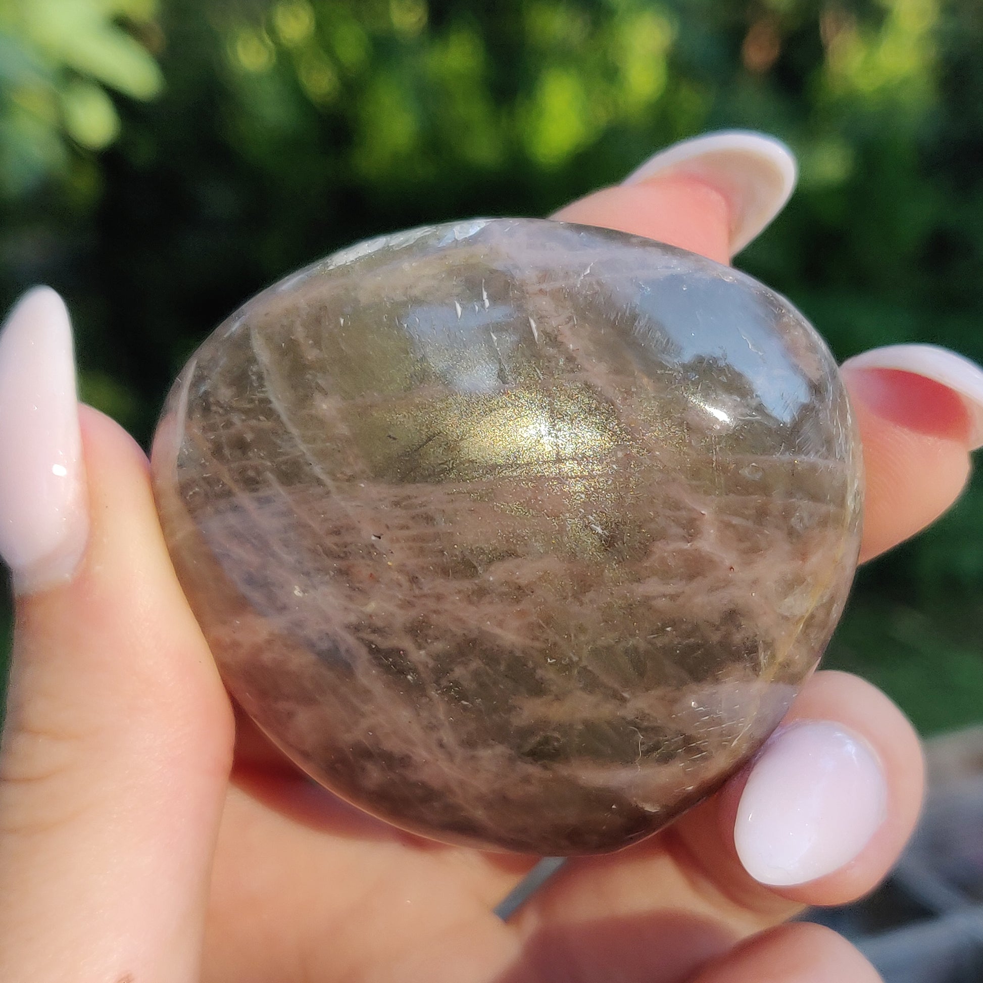 Black Moonstone Palm Stone, Flashy Black Moonstone (#14) - Simply Affinity