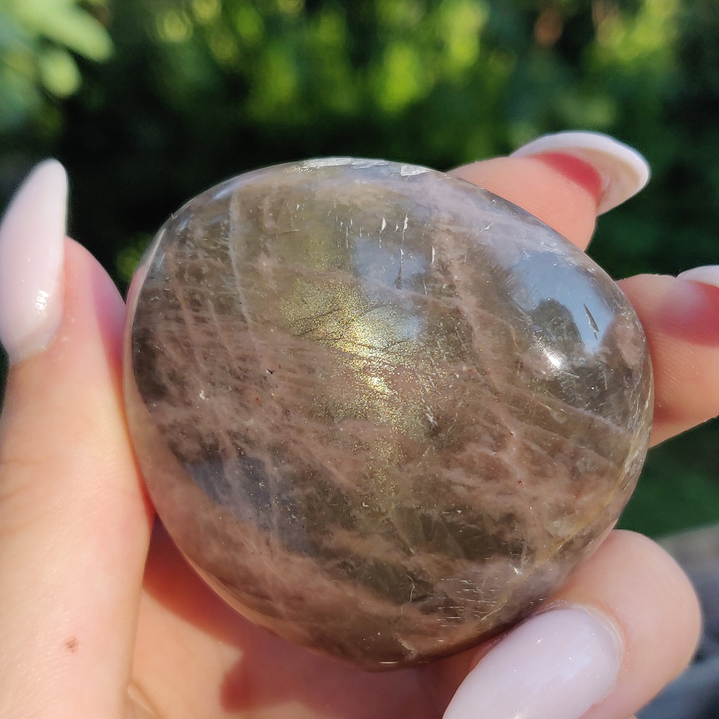 Black Moonstone Palm Stone, Flashy Black Moonstone (#14) - Simply Affinity