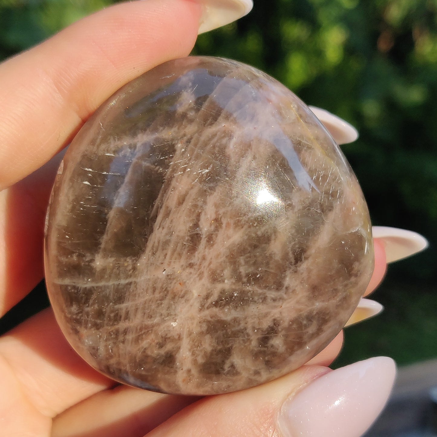 Black Moonstone Palm Stone, Flashy Black Moonstone (#14) - Simply Affinity