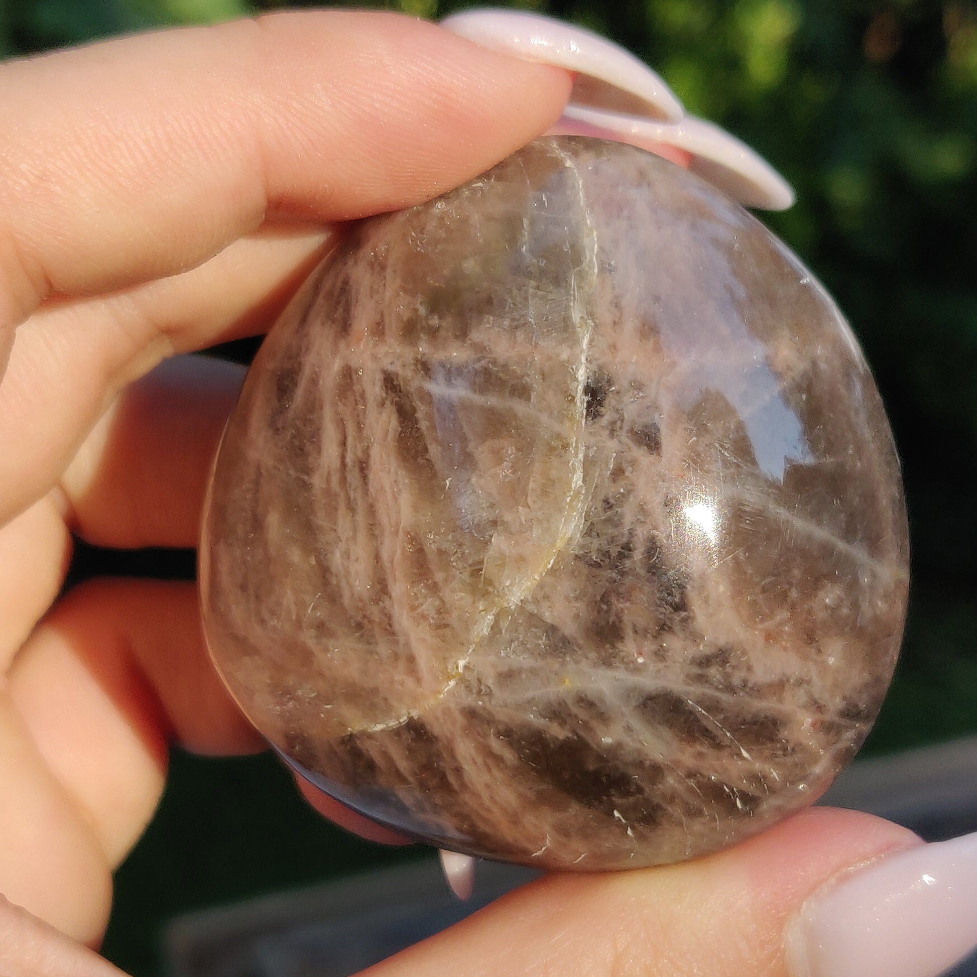 Black Moonstone Palm Stone, Flashy Black Moonstone (#14) - Simply Affinity