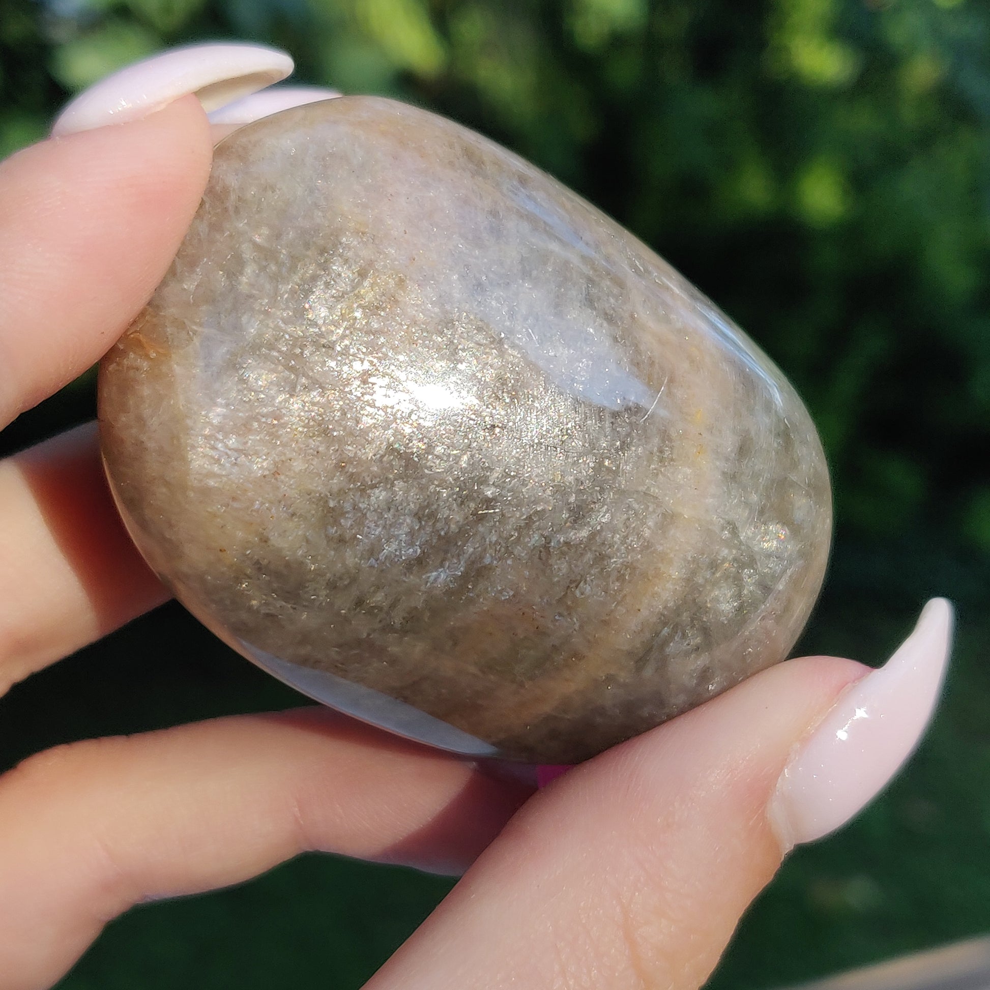 Black Moonstone Palm Stone, Flashy Black Moonstone (#16) - Simply Affinity