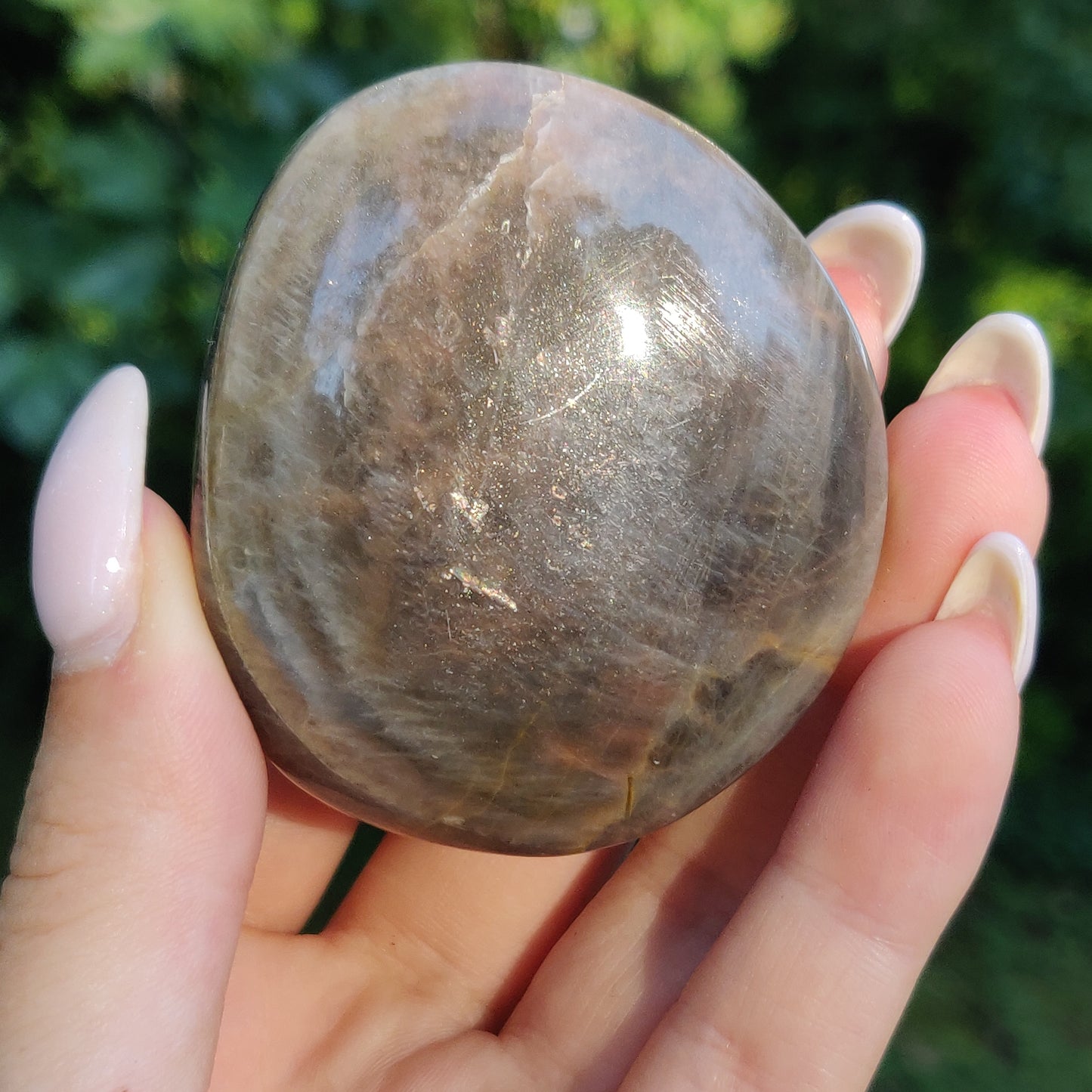 Black Moonstone Palm Stone, Flashy Black Moonstone (#18) - Simply Affinity