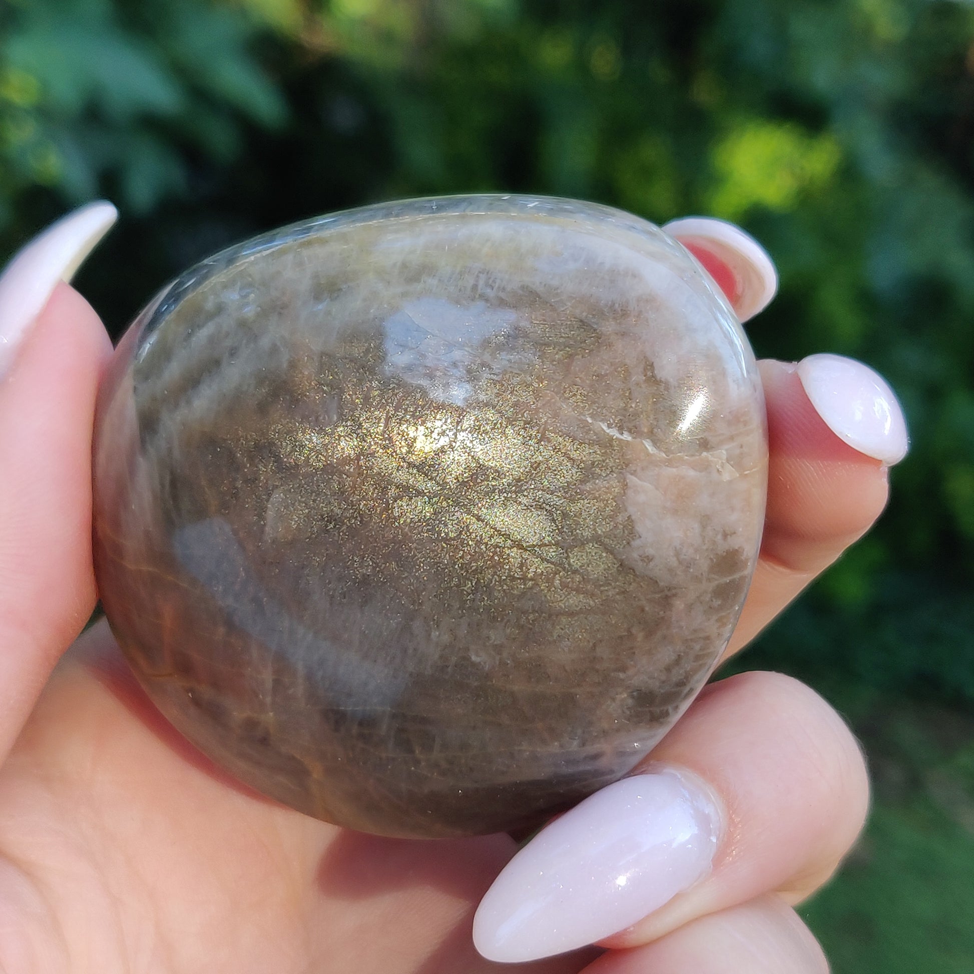 Black Moonstone Palm Stone, Flashy Black Moonstone (#18) - Simply Affinity