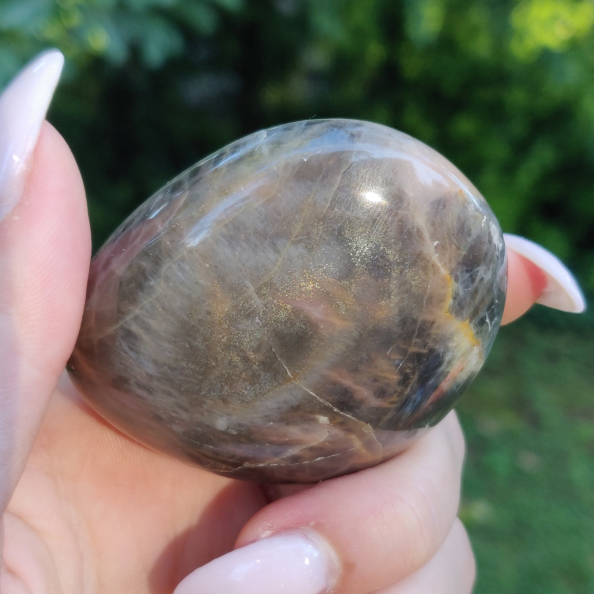 Black Moonstone Palm Stone, Flashy Black Moonstone (#18) - Simply Affinity