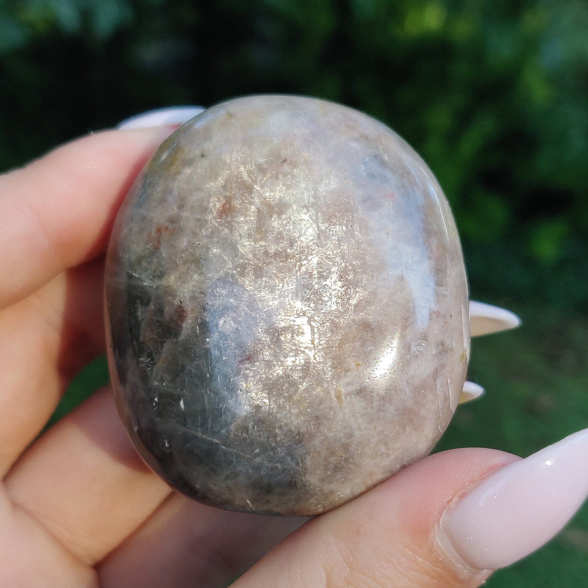 Black Moonstone Palm Stone, Flashy Black Moonstone (#21) - Simply Affinity
