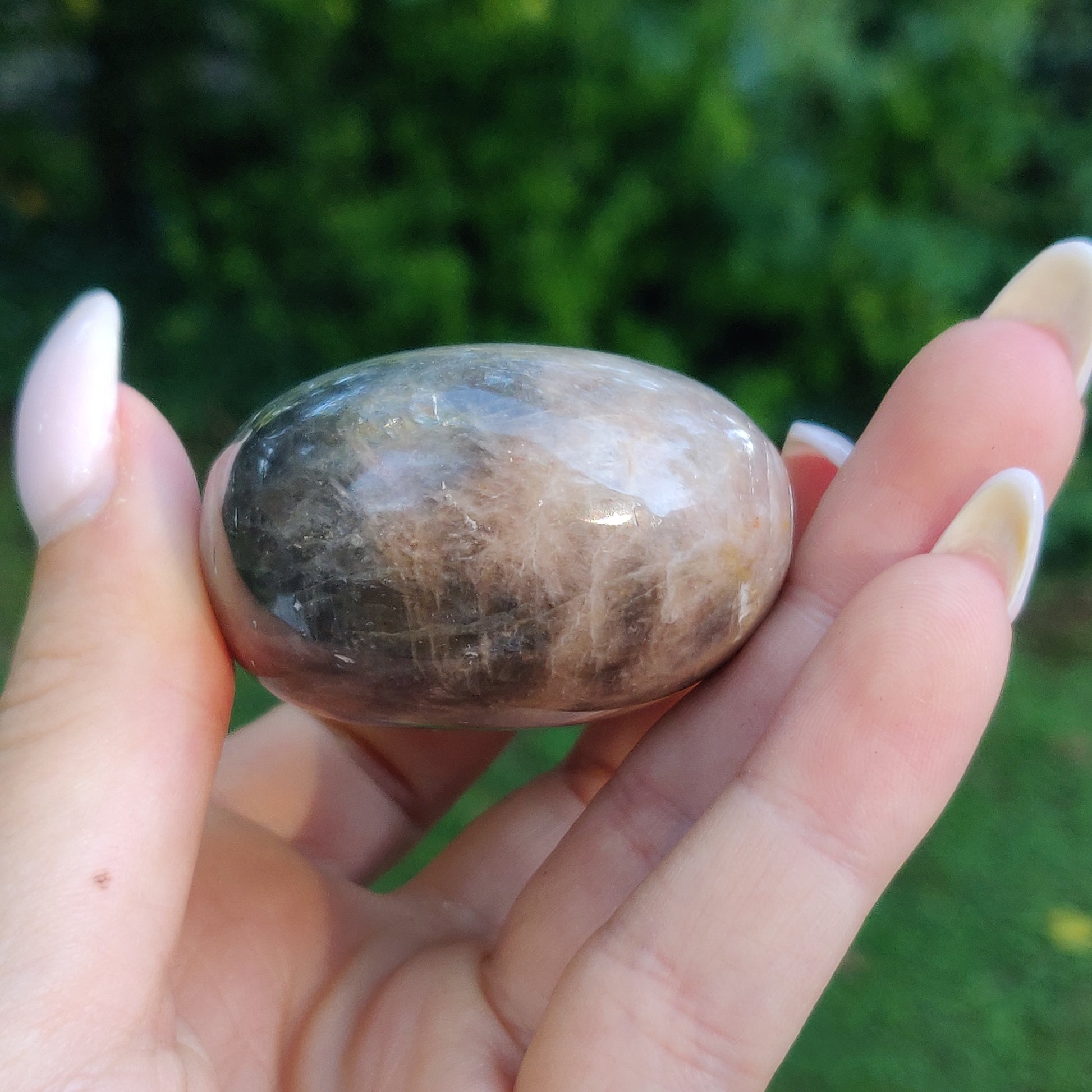 Black Moonstone Palm Stone, Flashy Black Moonstone (#21) - Simply Affinity
