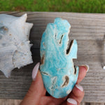 Blue Aragonite Palm Stone (#11) - Simply Affinity