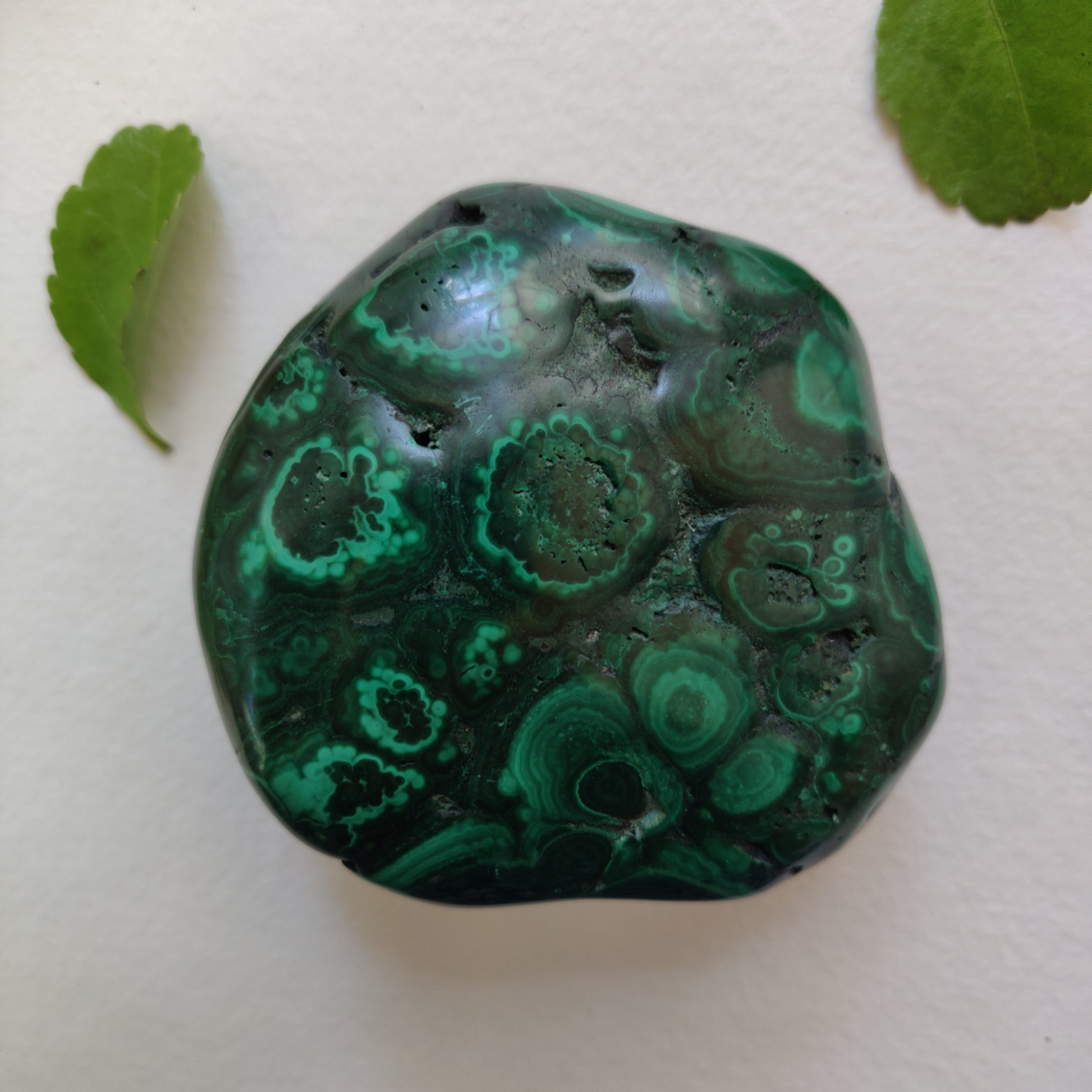 Malachite Specimen (#4) - Simply Affinity