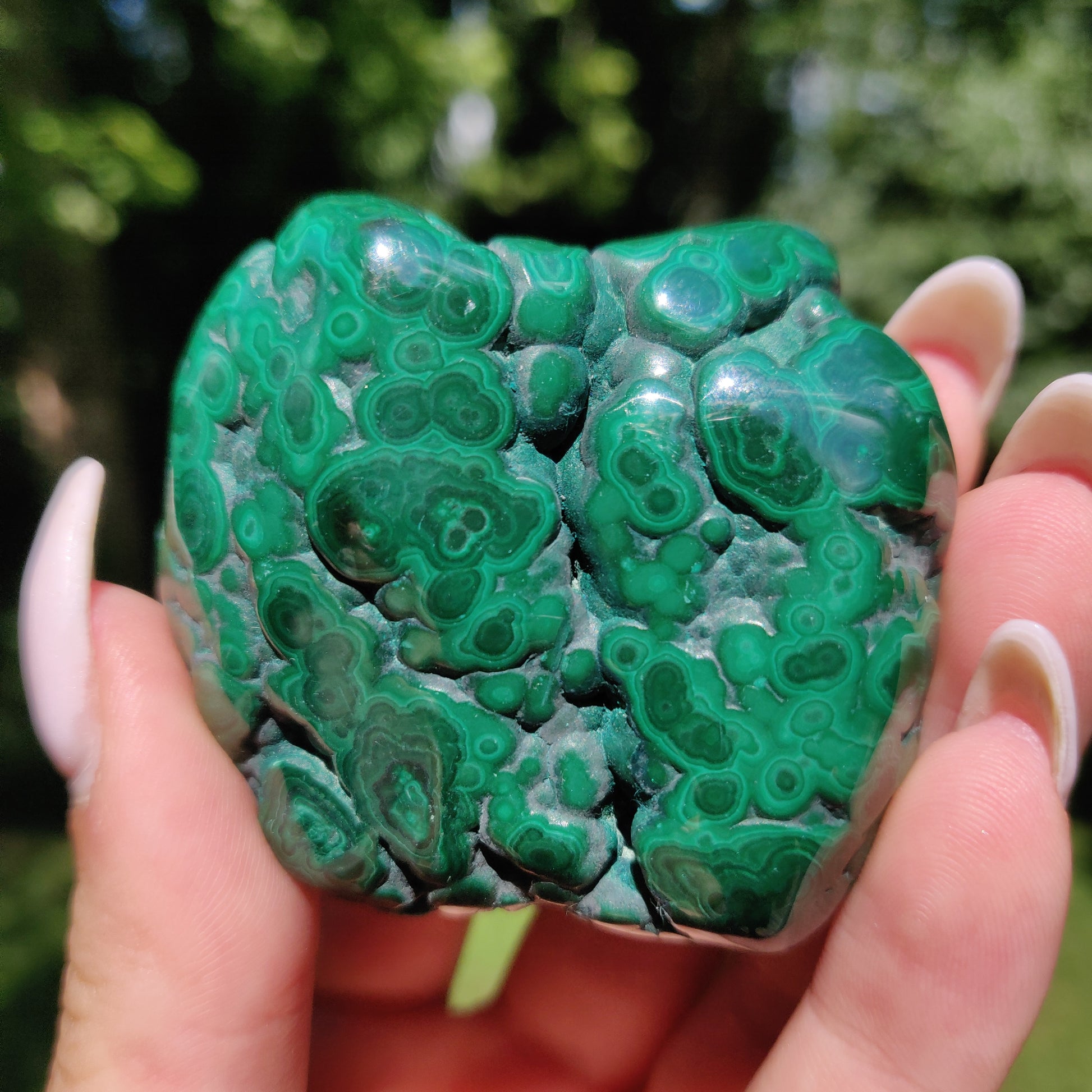 Malachite Specimen (#12) - Simply Affinity