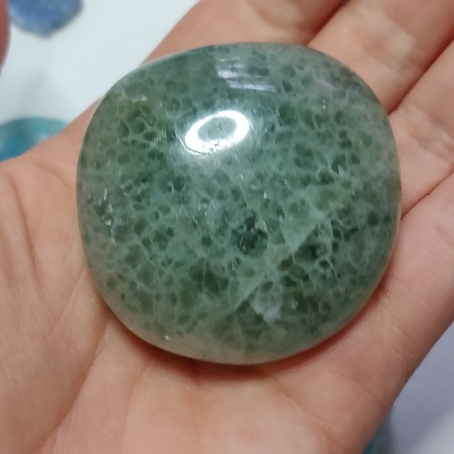 Fluorite Palm Stone (#17) - Simply Affinity