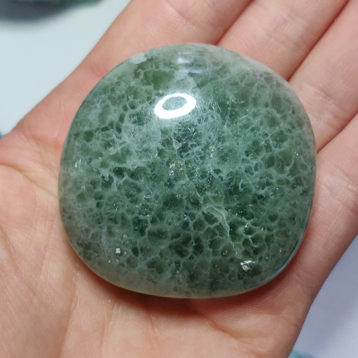 Fluorite Palm Stone (#17) - Simply Affinity